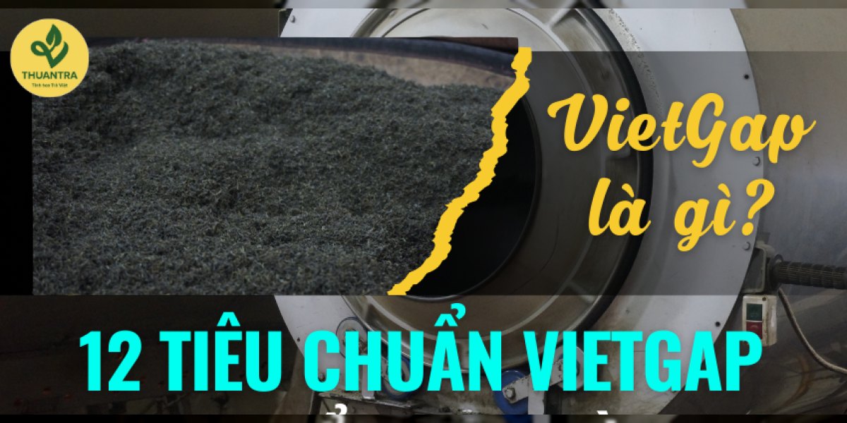 VietGAP là gì? 12 nhóm yêu cầu trên nương chè, điểm mới của TCVN 11892-1:2017 và phép tính kiểm chứng lời quảng cáo chè VietGAP