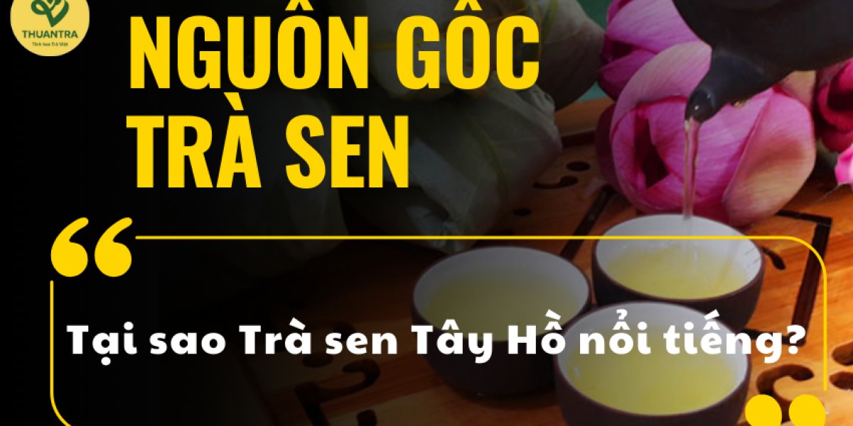 Nguồn gốc trà sen và vì sao trà sen Tây Hồ nổi tiếng: sen Bách Diệp, làng nghề Quảng An – Quảng Bá, di sản quốc gia và những mốc ghi nhận
