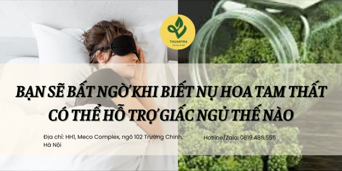 Bạn sẽ bất ngờ khi biết nụ hoa tam thất có thể hỗ trợ giấc ngủ thế nào?
