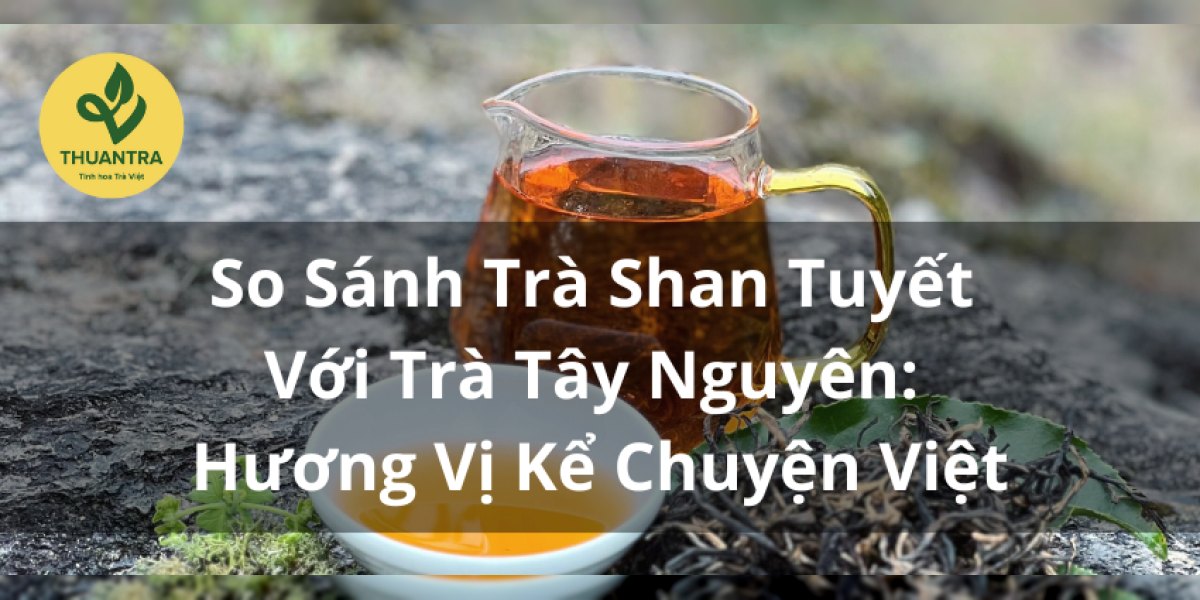 So Sánh Trà Shan Tuyết Với Trà Tây Nguyên: Hương Vị Kể Chuyện Việt