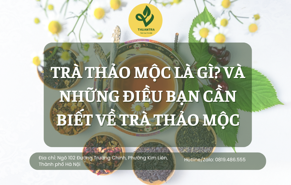 Trà thảo mộc là gì? và những điều bạn cần biết về trà thảo mộc