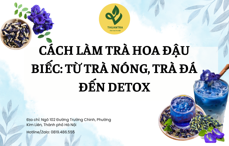 Cách Làm Trà Hoa Đậu Biếc: Từ Trà Nóng, Trà Đá Đến Detox