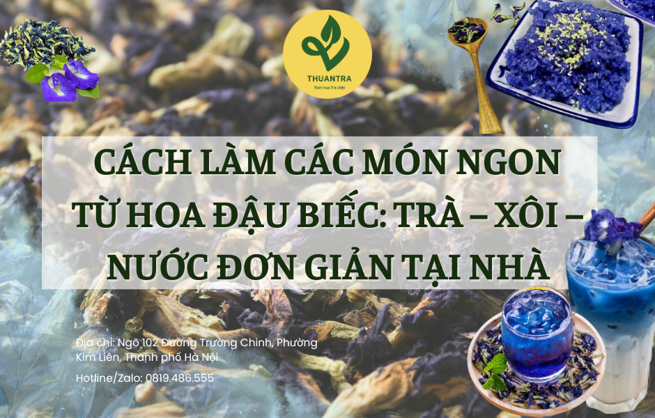 Cách Làm Các Món Ngon Từ Hoa Đậu Biếc: Trà – Xôi – Nước Đơn Giản Tại Nhà