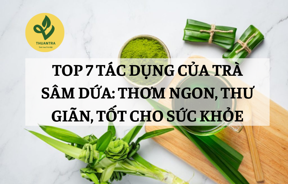 TOP 7 TÁC DỤNG CỦA TRÀ SÂM DỨA: THƠM NGON, THƯ GIÃN, TỐT CHO SỨC KHỎE