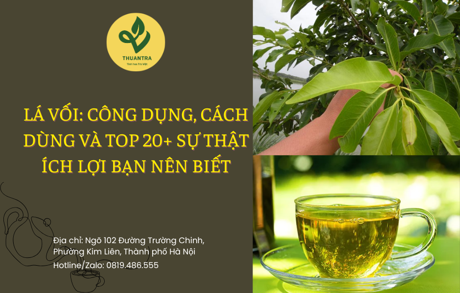 Lá Vối: Công Dụng, Cách Dùng Và Top 20+ Sự Thật Ích Lợi Bạn Nên Biết