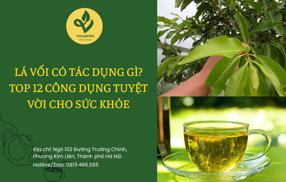 Lá Vối Có Tác Dụng Gì?  Top 12 Công Dụng Tuyệt Vời Cho Sức Khỏe
