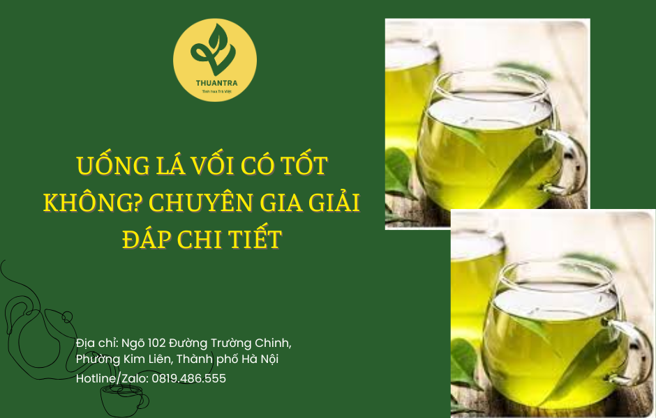Uống Lá Vối Có Tốt Không? Chuyên Gia Giải Đáp Chi Tiết
