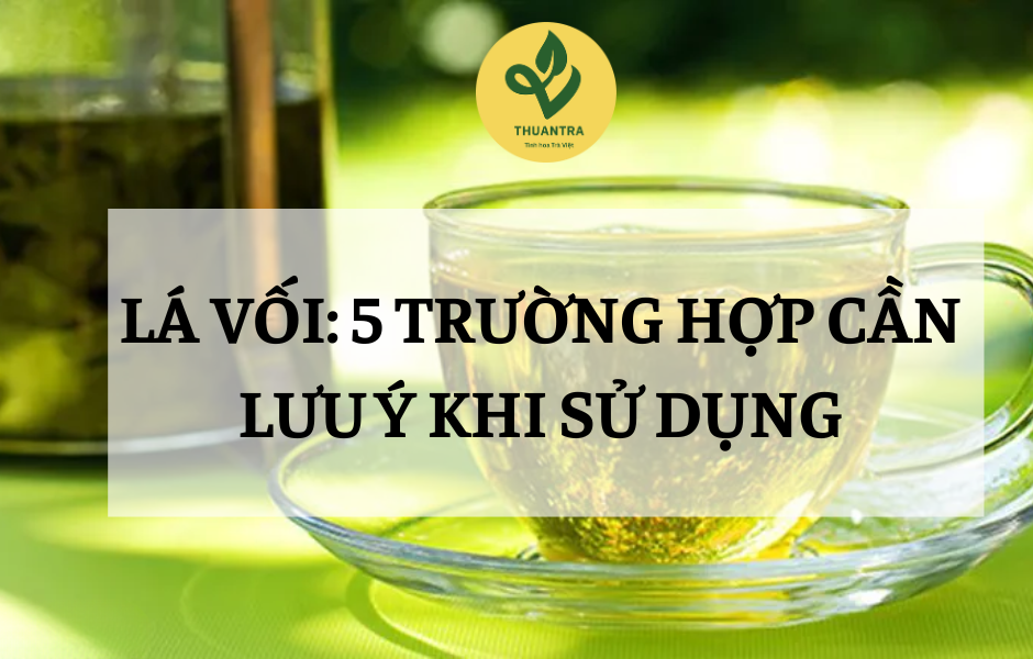 Lá Vối: 5 Trường Hợp Cần Lưu Ý Khi Sử Dụng