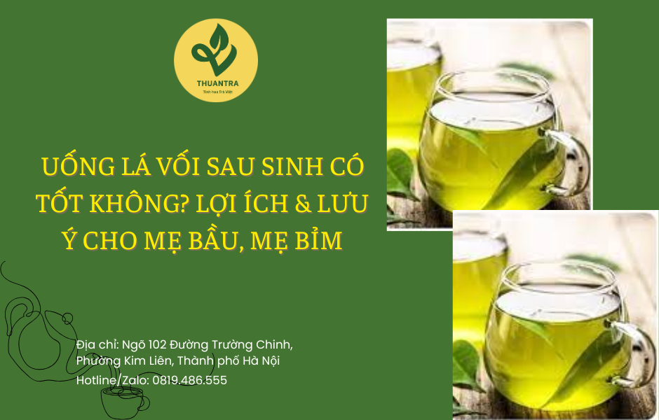 Uống Lá Vối Sau Sinh Có Tốt Không? Lợi Ích & Lưu Ý Cho Mẹ Bầu, Mẹ Bỉm