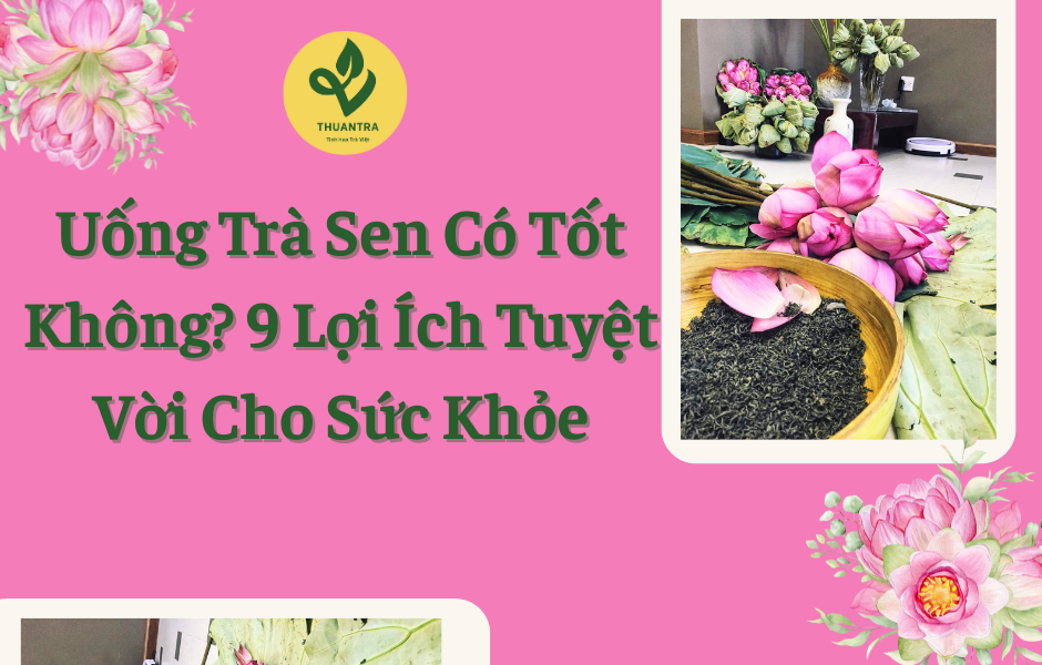 Uống Trà Sen Có Tốt Không? 9 Lợi Ích Tuyệt Vời Cho Sức Khỏe
