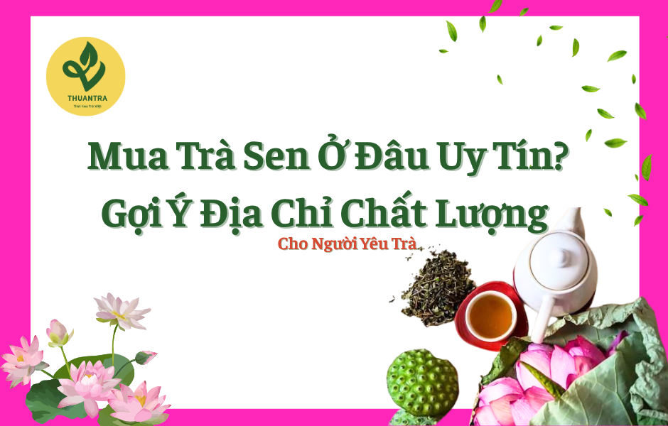 Mua Trà Sen Ở Đâu Uy Tín? Gợi Ý Địa Chỉ Chất Lượng Cho Người Yêu Trà
