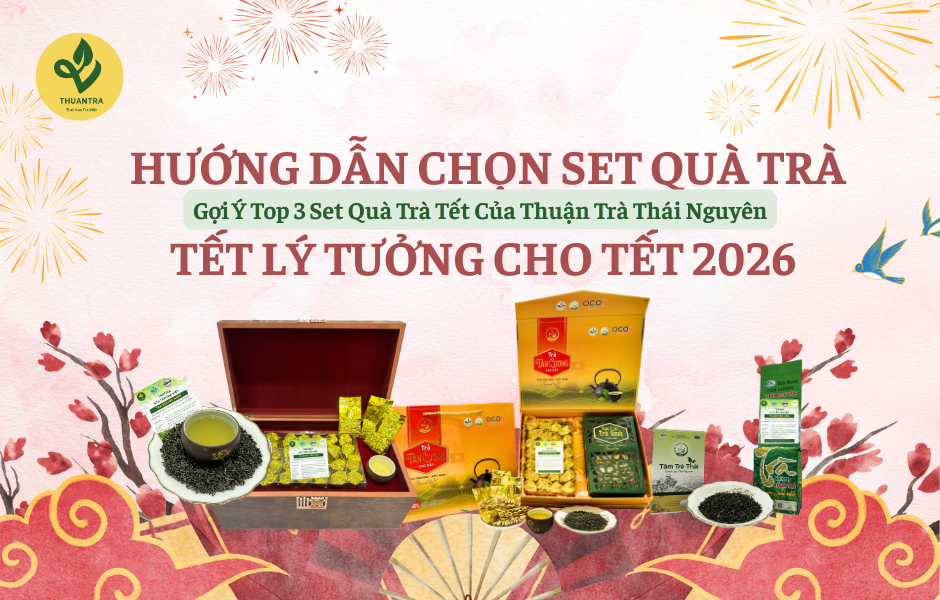 Hướng Dẫn Chọn Set Quà Trà Tết Lý Tưởng Cho Tết 2026 – Gợi Ý Top 3 Set Quà Trà Tết Của Thuận Trà Thái Nguyên