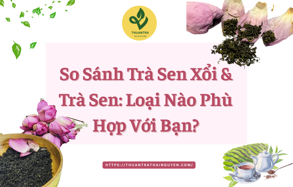 So Sánh Trà Sen Xổi Và Trà Sen: Loại Nào Phù Hợp Với Bạn?