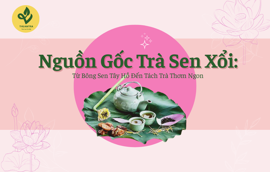 Nguồn Gốc Trà Sen Xổi: Từ Bông Sen Tây Hồ Đến Tách Trà Thơm