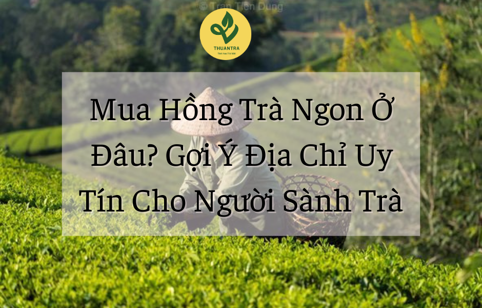 Mua Hồng Trà Ngon Ở Đâu? Gợi Ý Địa Chỉ Uy Tín Cho Người Sành Trà