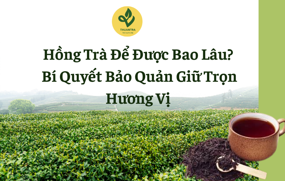Hồng Trà Để Được Bao Lâu? Bí Quyết Bảo Quản Giữ Trọn Hương Vị