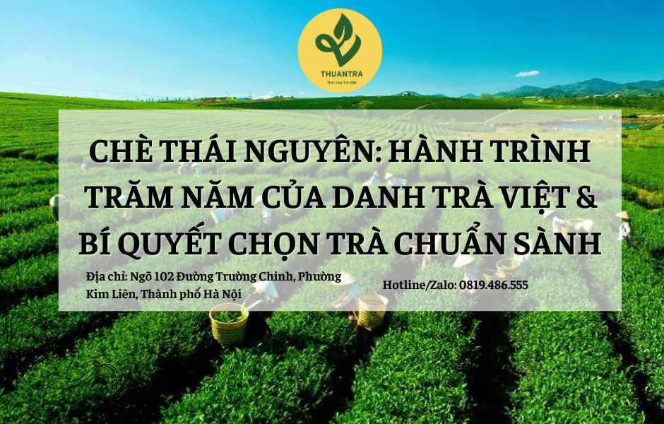 Chè Thái Nguyên: Hành Trình Trăm Năm Của Danh Trà Việt & Bí Quyết Chọn Trà Chuẩn Sành