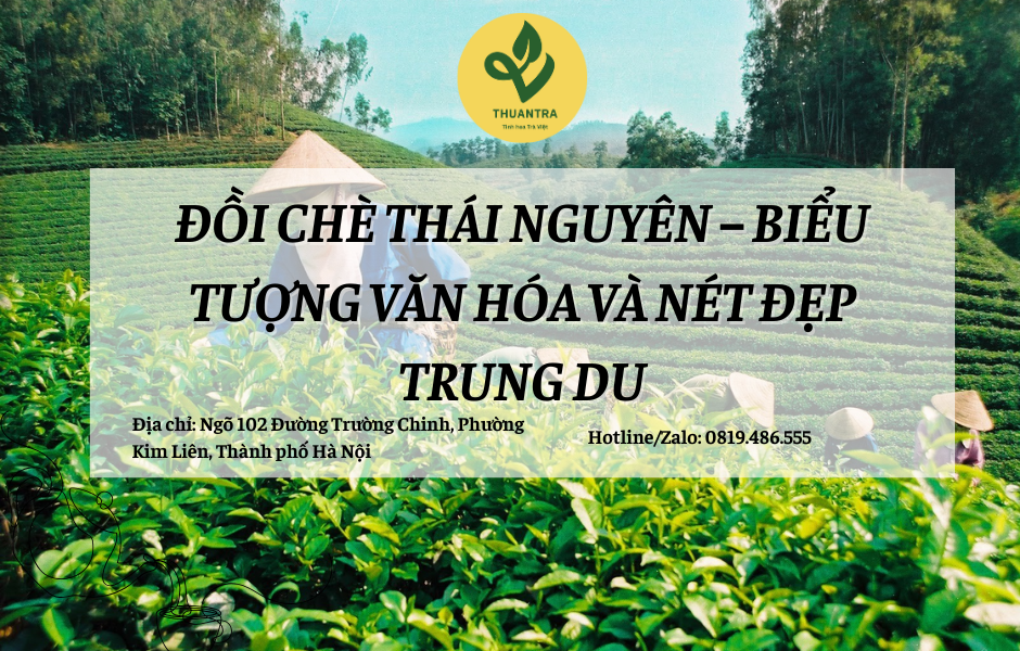 Đồi Chè Thái Nguyên:  Biểu Tượng Văn Hóa và Nét Đẹp Trung Du