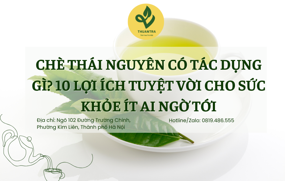 Chè Thái Nguyên Có Tác Dụng Gì? 10 Lợi Ích Tuyệt Vời Cho Sức Khỏe Ít Ai Ngờ Tới
