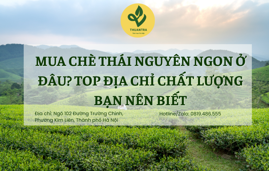 Mua Chè Thái Nguyên Ngon Ở Đâu? Top Địa Chỉ Chất Lượng Bạn Nên Biết
