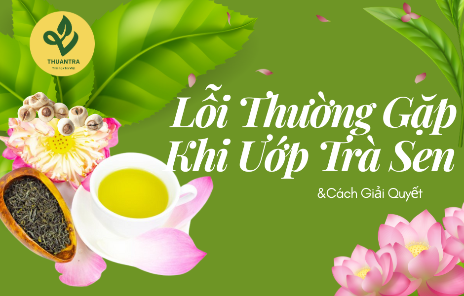 Lỗi Thường Gặp Khi Ướp Trà Sen Và Cách Giải Quyết