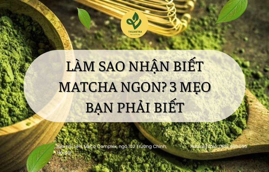 Làm Sao Nhận Biết Matcha Ngon? 3 Mẹo Bạn Phải Biết