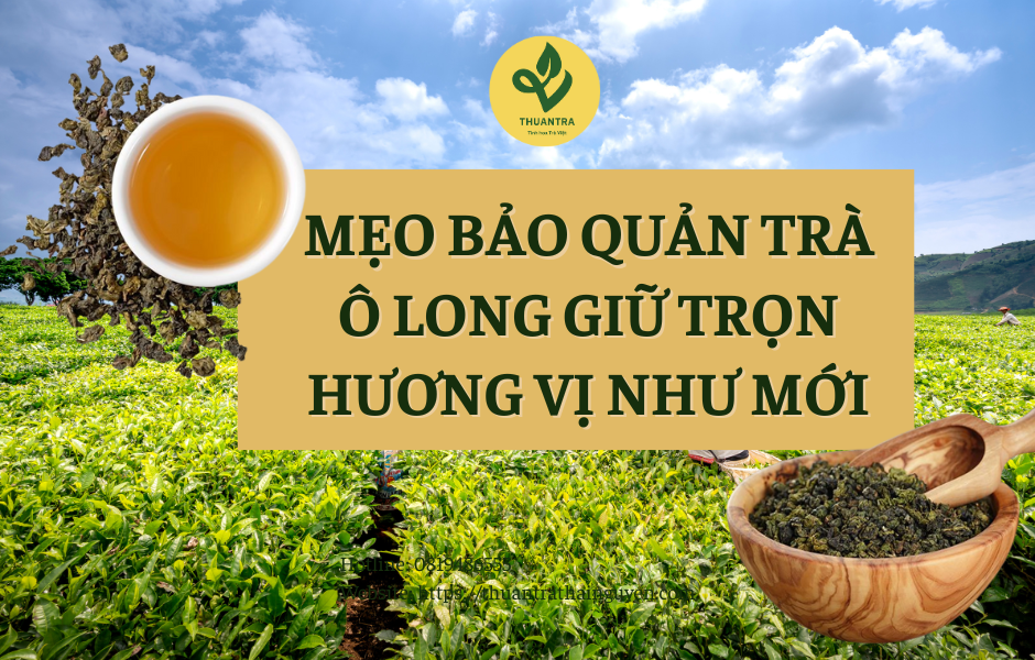 MẸO BẢO QUẢN TRÀ Ô LONG GIỮ TRỌN HƯƠNG VỊ NHƯ MỚI
