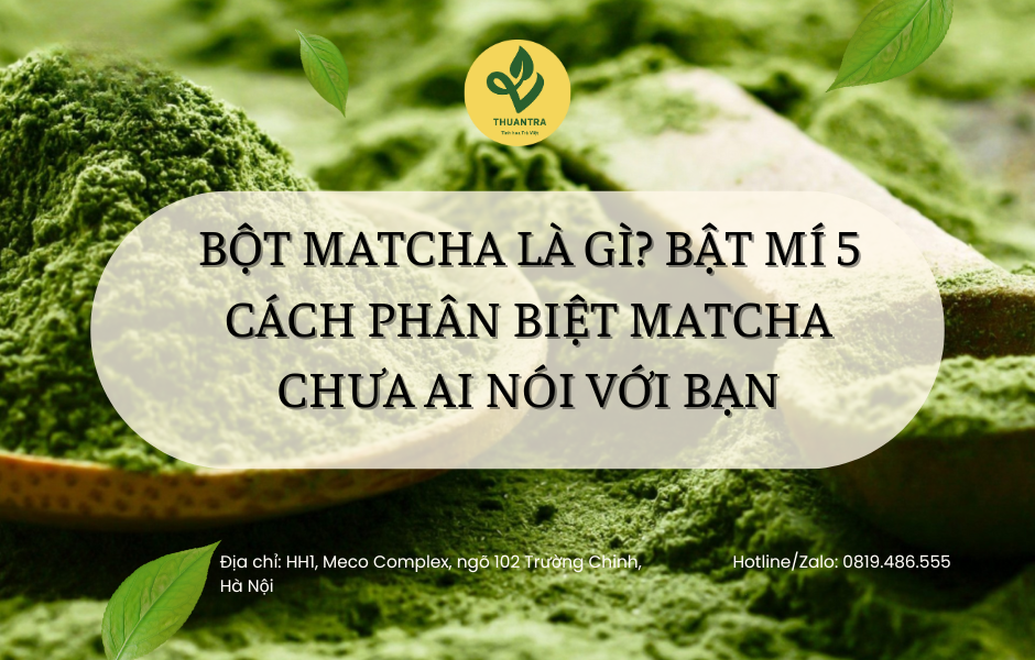 Bật mí 5 Cách Phân Biệt Matcha Chuẩn Mà Chưa Ai Nói Với Bạn