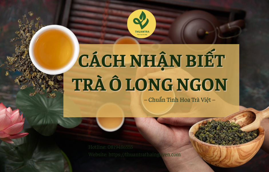 Cách Nhận Biết Trà Ô Long Ngon – Chuẩn Tinh Hoa Trà Việt