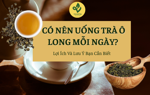 Có Nên Uống Trà Ô Long Mỗi Ngày? Lợi Ích Và Lưu Ý Bạn Cần Biết