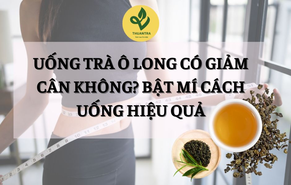 Uống Trà Ô Long Có Giảm Cân Không? Bật Mí Cách Uống Hiệu Quả