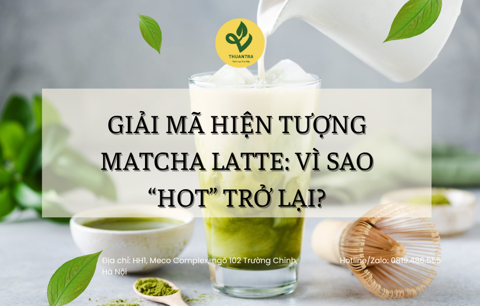 Giải Mã Hiện Tượng Matcha Latte: Vì Sao “Hot” Trở Lại?