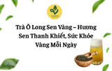 Trà Ô Long Sen Vàng – Hương Sen Thanh Khiết, Sức Khỏe Vàng Mỗi Ngày