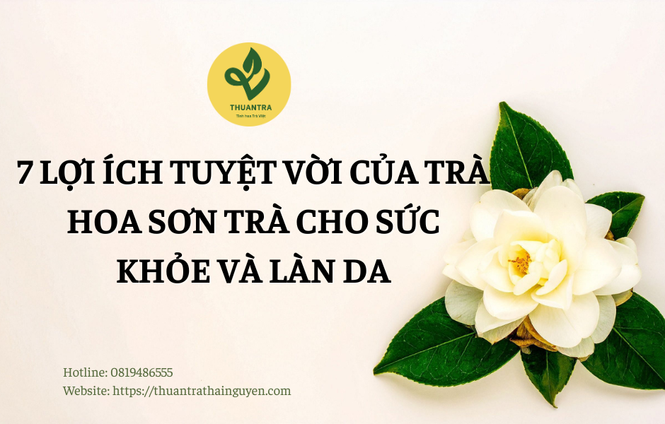 7 Lợi Ích Tuyệt Vời Của Trà Hoa Sơn Trà Cho Sức Khỏe Và Làn Da