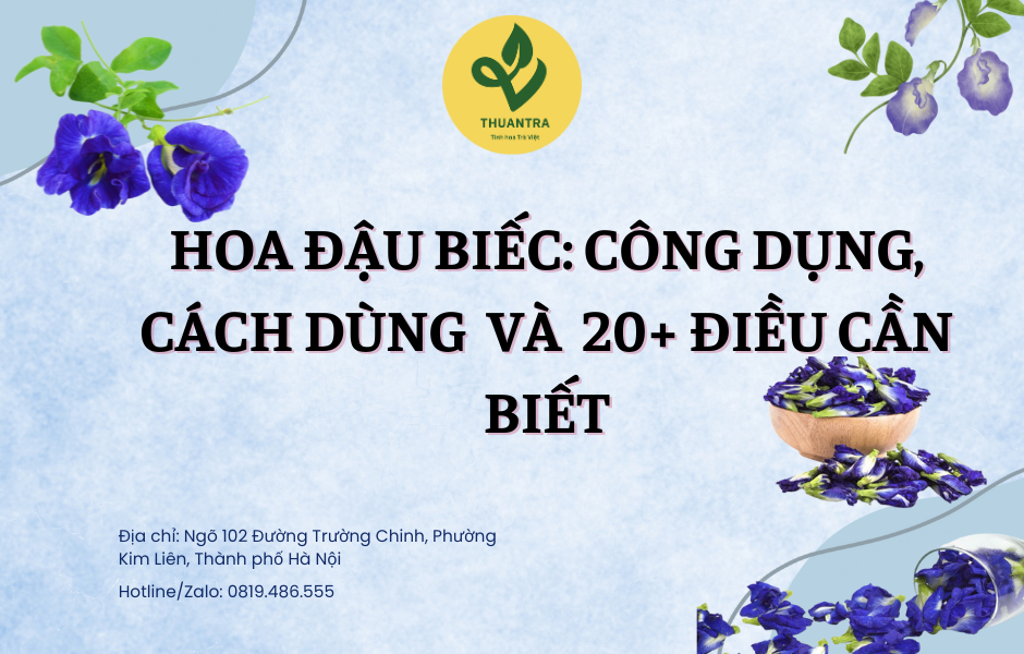 Hoa Đậu Biếc: Công Dụng, Cách Dùng & 20+ Điều Cần Biết