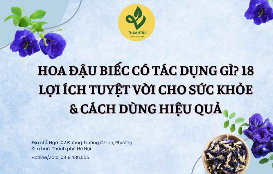 Hoa Đậu Biếc Có Tác Dụng Gì? 18 Lợi Ích Tuyệt Vời Cho Sức Khỏe & Cách Dùng Hiệu Quả