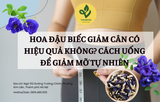 Hoa Đậu Biếc Giảm Cân Có Hiệu Quả Không? Cách Uống Để Giảm Mỡ Tự Nhiên