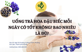 Uống Trà Hoa Đậu Biếc Mỗi Ngày Có Tốt Không? Bao Nhiêu Là Đủ?