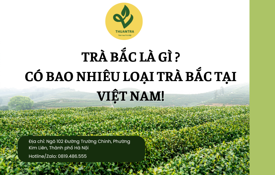Trà Bắc là gì? Có bao nhiêu loại trà Bắc tại Việt Nam!