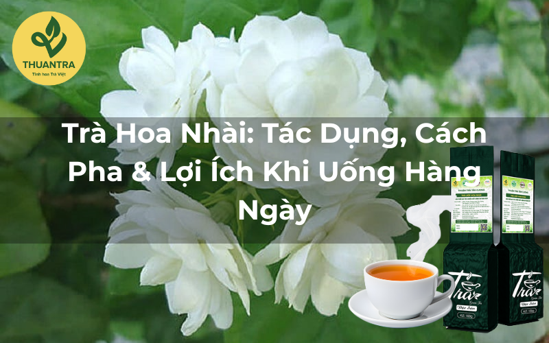 Trà Hoa Nhài: Tác Dụng, Cách Pha & Lợi Ích Khi Uống Hàng Ngày