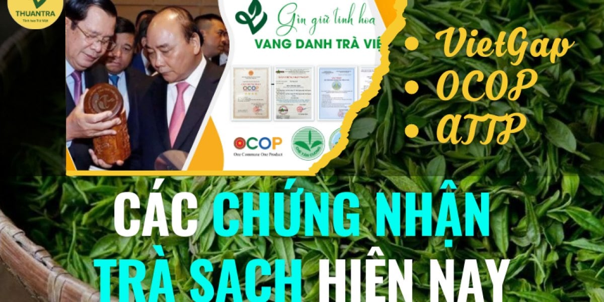 Các chứng nhận trà sạch hiện nay: giấy ATTP, VietGAP, ISO 22000, hữu cơ nói lên điều gì và cách kiểm tra