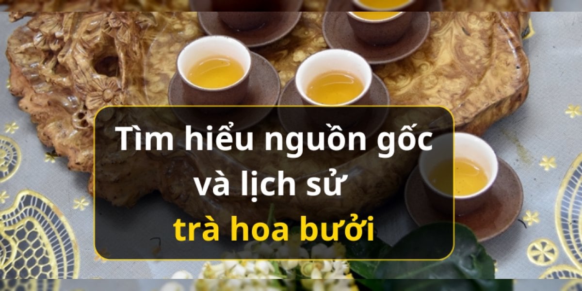 Tìm hiểu về nguồn gốc và lịch sử trà hoa bưởi