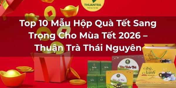 Top 10 Mẫu Hộp Quà Tết Sang Trọng Cho Mùa Tết 2026 – Thuận Trà Thái Nguyên