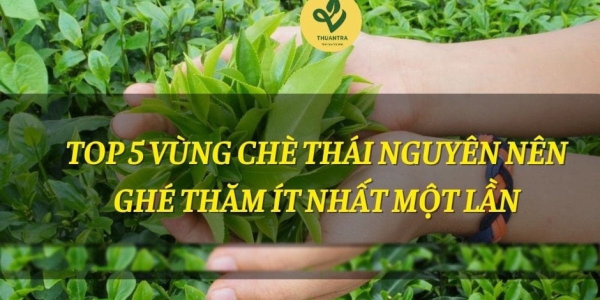 Top 5 vùng chè Thái Nguyên nên ghé thăm ít nhất một lần