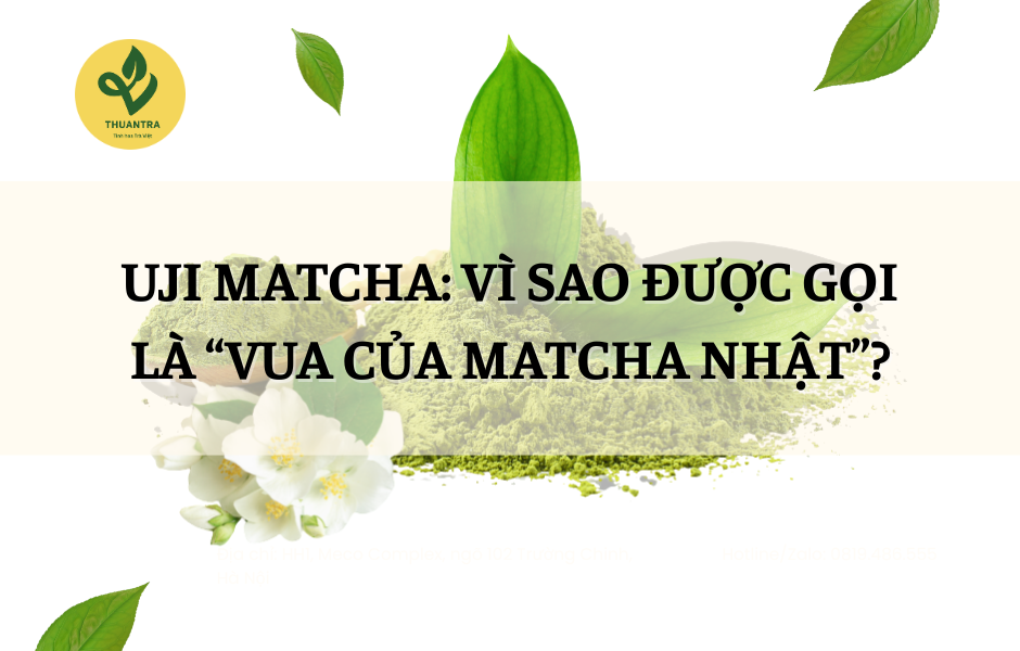 Uji Matcha: Vì Sao Được Gọi Là “Vua Của Matcha Nhật”?