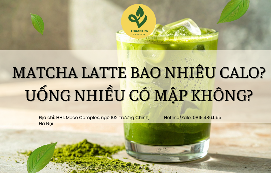 Matcha Latte Bao Nhiêu Calo? Uống Nhiều Có Mập Không?