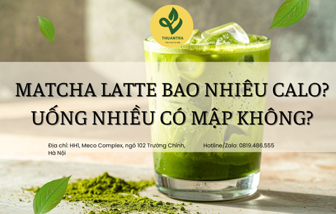 Matcha Latte Bao Nhiêu Calo? Uống Nhiều Có Mập Không?