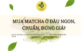 Mua Matcha Ở Đâu Ngon, Chuẩn, Đúng Giá?