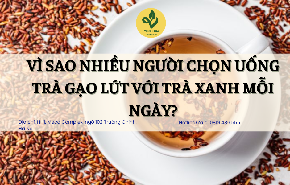 Vì Sao Nhiều Người Chọn Uống Trà Gạo Lứt Với Trà Xanh Mỗi Ngày?
