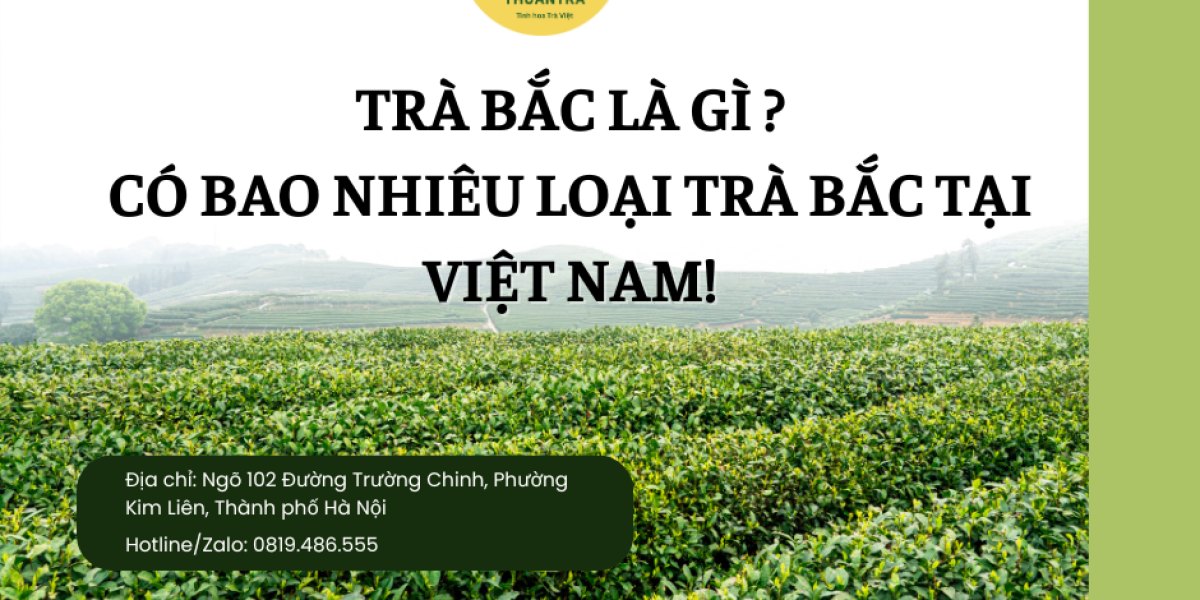 Trà Bắc là gì? Vì sao người miền Nam gọi “trà Bắc”, vị tiền chát hậu ngọt từ đâu, các hạng, giá 2026 và cách mua đúng